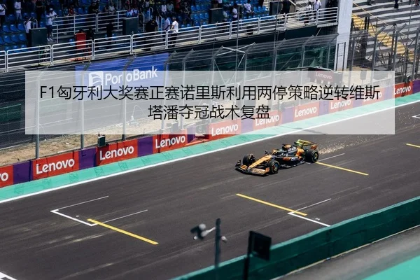 xiong-ya-li-da-jiang-sai-zheng-sai-nuo-li-si-li-yong-liang-ting-ce-lve-ni-zhuan-wei-si-ta-pan-duo-guan-zhan-shu-fu-pan-3-213.jpg