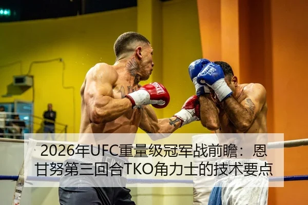 2026年UFC重量级冠军战前瞻：恩甘努第三回合TKO角力士的技术要点